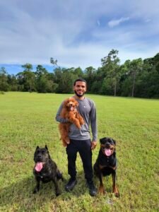 Out and about with the pups.